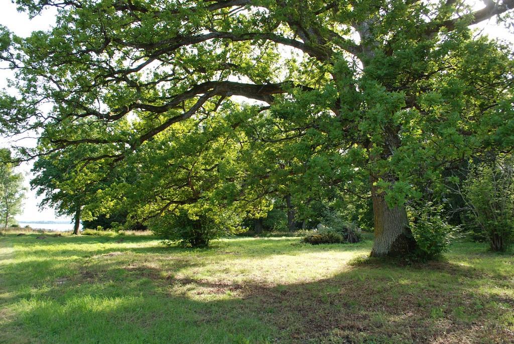 Kristbergs Rusthall Borensberg Dış mekan fotoğraf