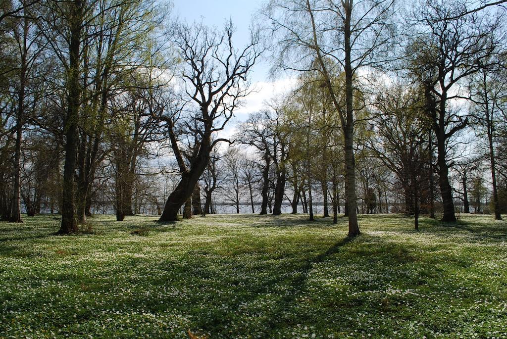 Kristbergs Rusthall Borensberg Dış mekan fotoğraf